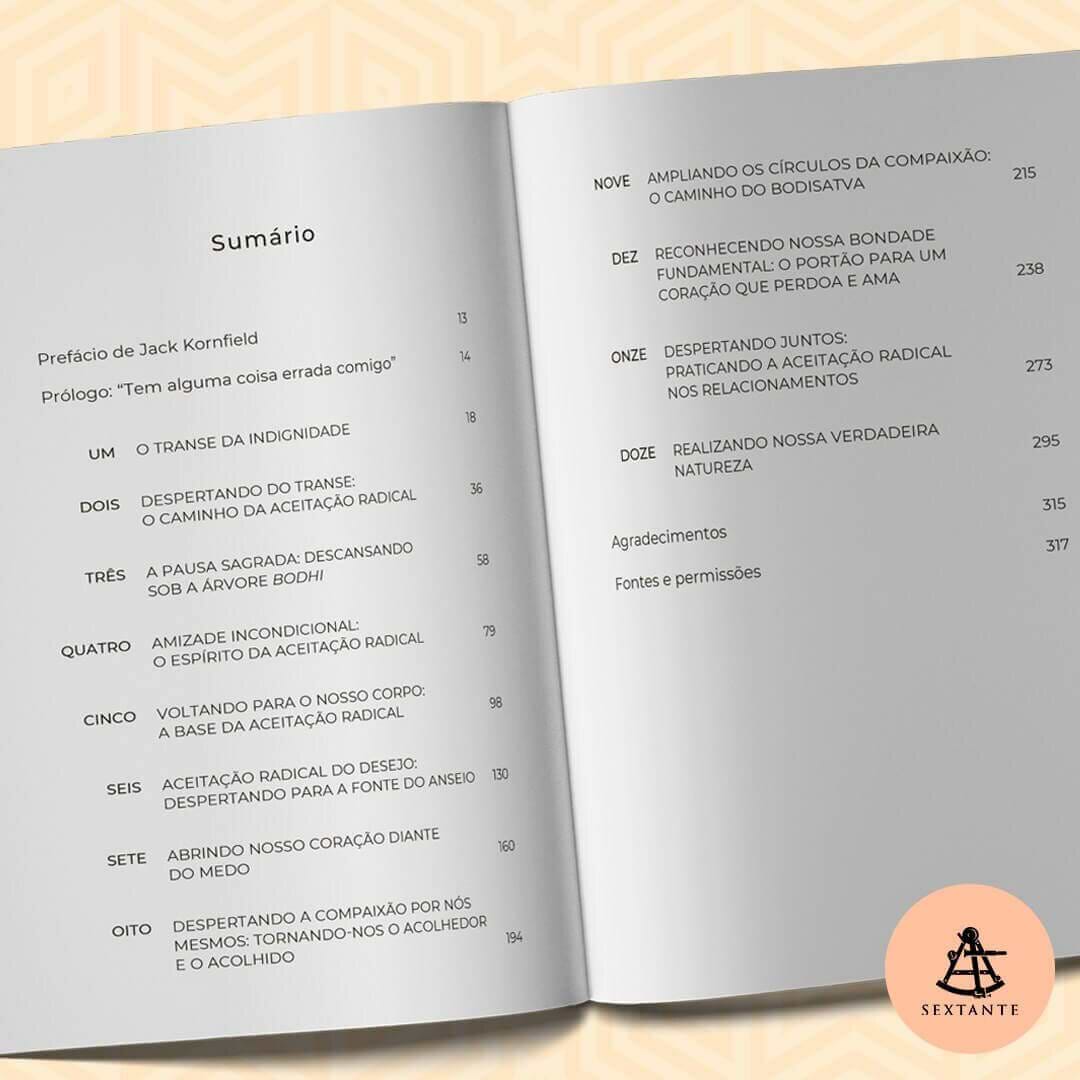 Livro - Em busca do tempo presente 12