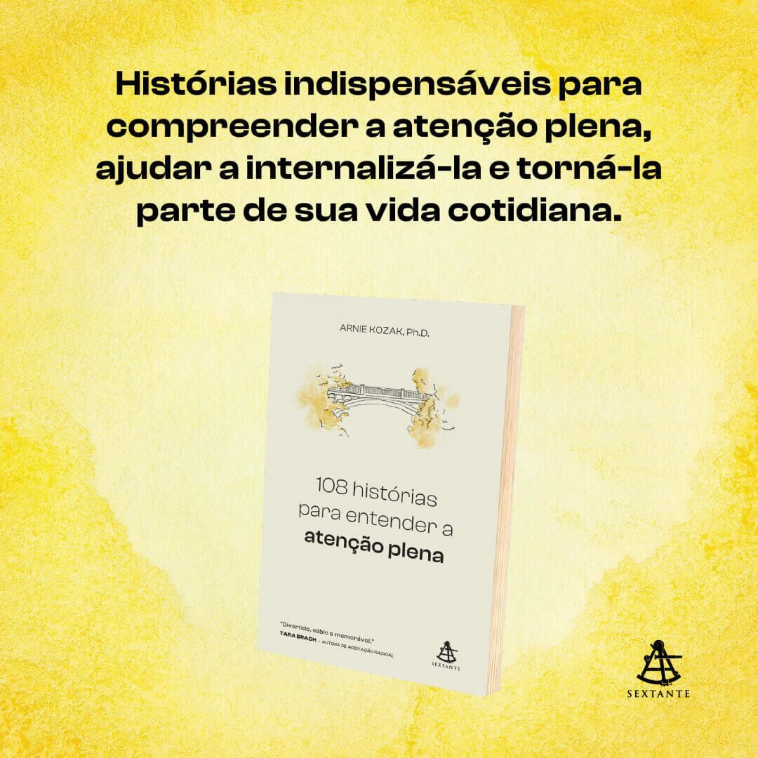 undefined | Livro - 108 histórias para entender a atenção plena