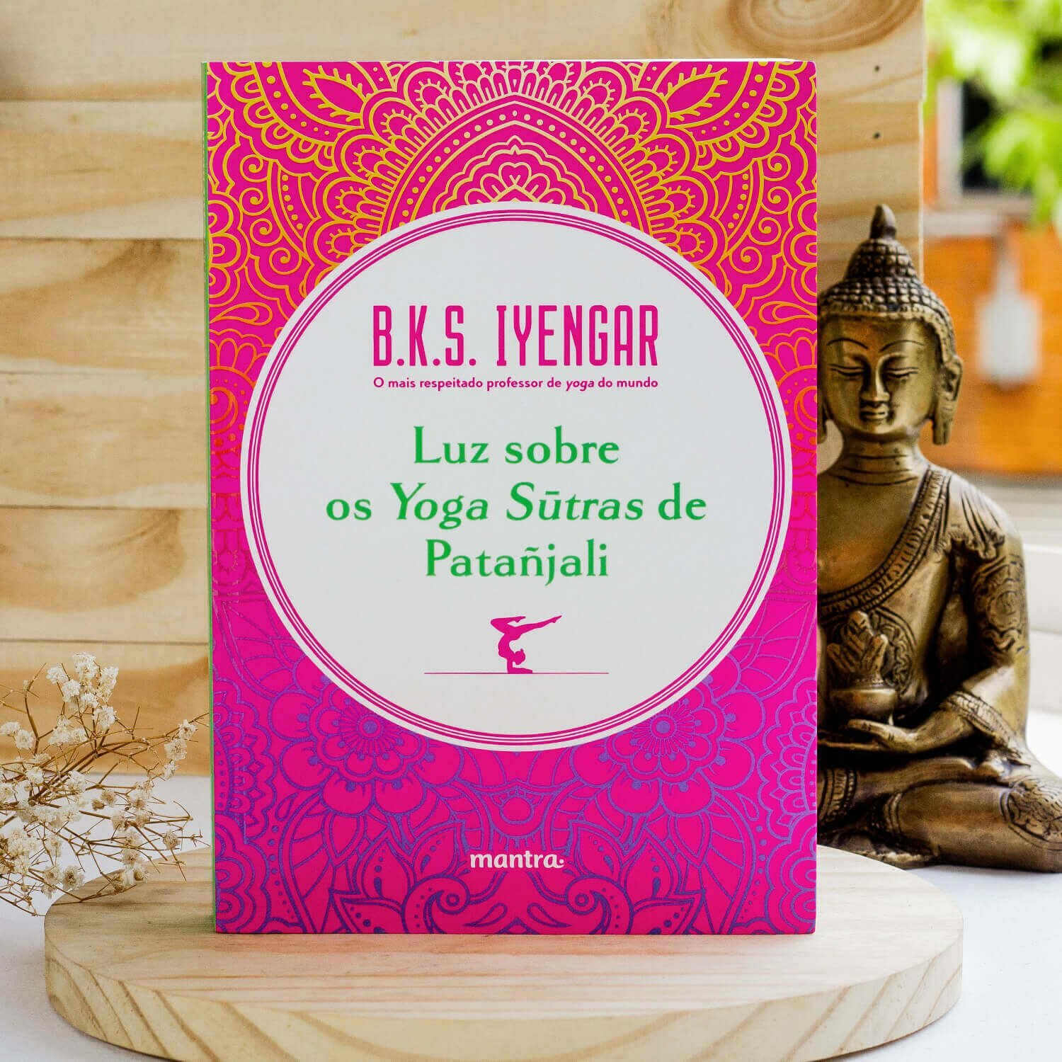 undefined | Livro - Luz Sobre os Yoga Sutras de Patanjali