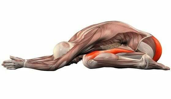 postura-da-criança-musculo