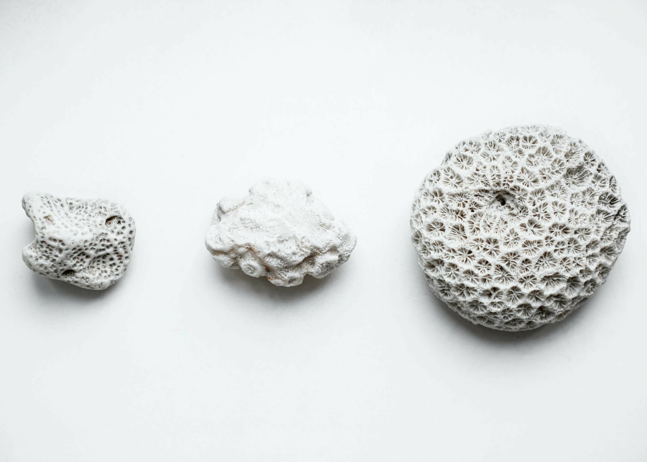 ayurveda-alimentação-yogateria