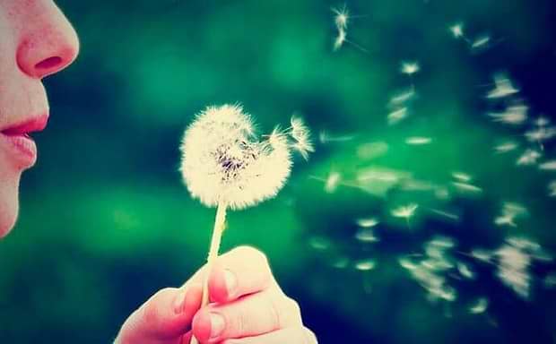 mulher-assoprando-dente-leao-yogateria