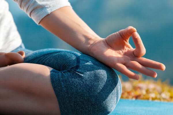 chin-mudra-yogateria