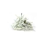 salviabranca-yogateria