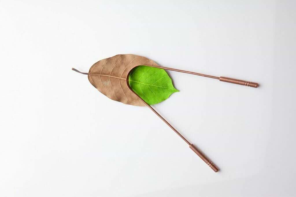 Raspador de lingua raspador-lingua-yogateria