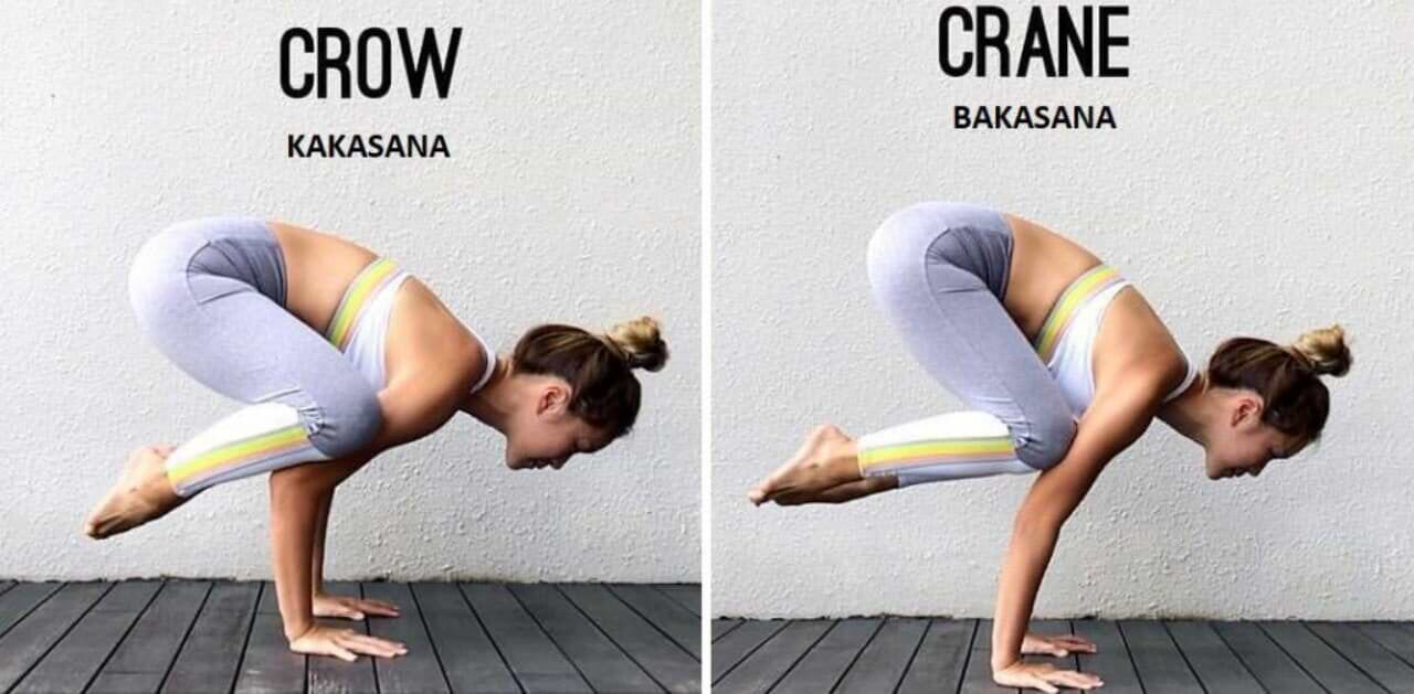 bakasana-postura-corvo-yogateria3