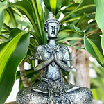 buddhatara-dourado-yogateria-5