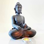 buddhatocaterra-preto-yogateria-3