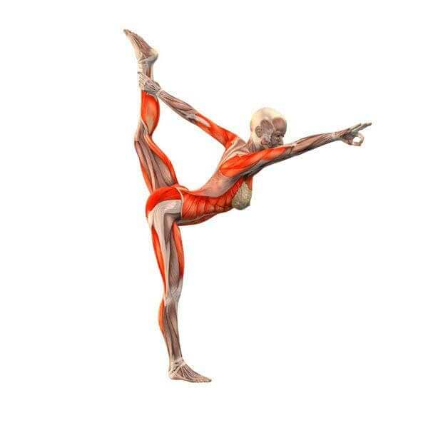 Natarajasana-Postura-shiva-yogateria2