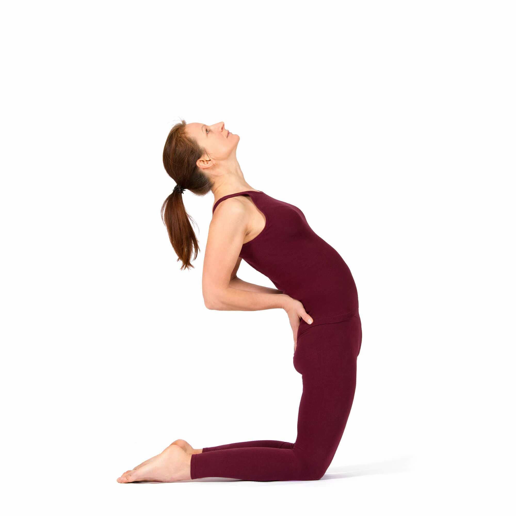 postura-camelo-yogateria