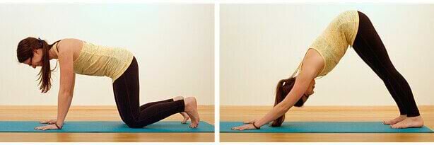 Adho-Mukha-cachorro-olhando-para-baixo-yogateria8