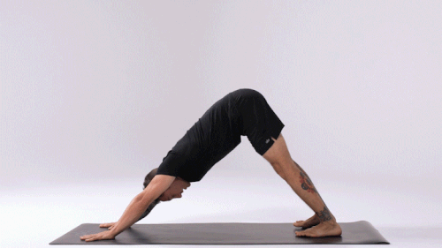 Adho-Mukha-cachorro-olhando-para-baixo-yogateria9