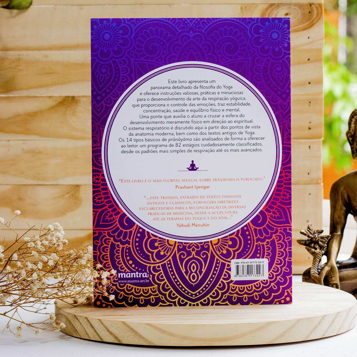 livro-luz-pranayama-iyengar-yogateria-1