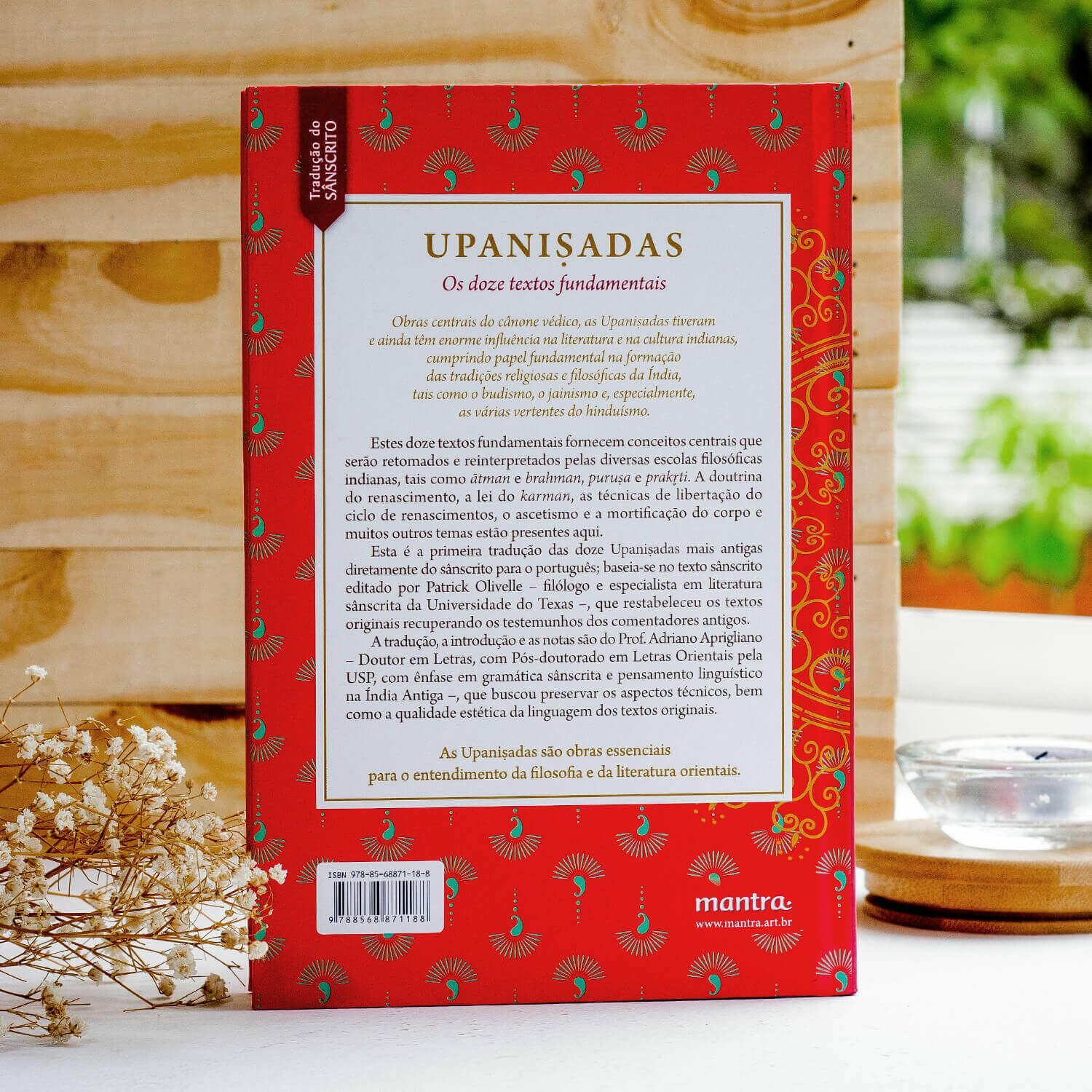 livro-upanisadas-yogateria-1