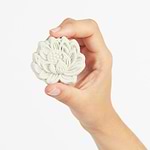 escaldapes-yogateria-energia-3