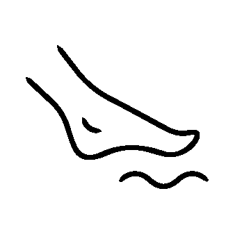 tapete-aderencia