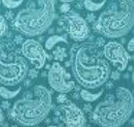 paisley / petróleo