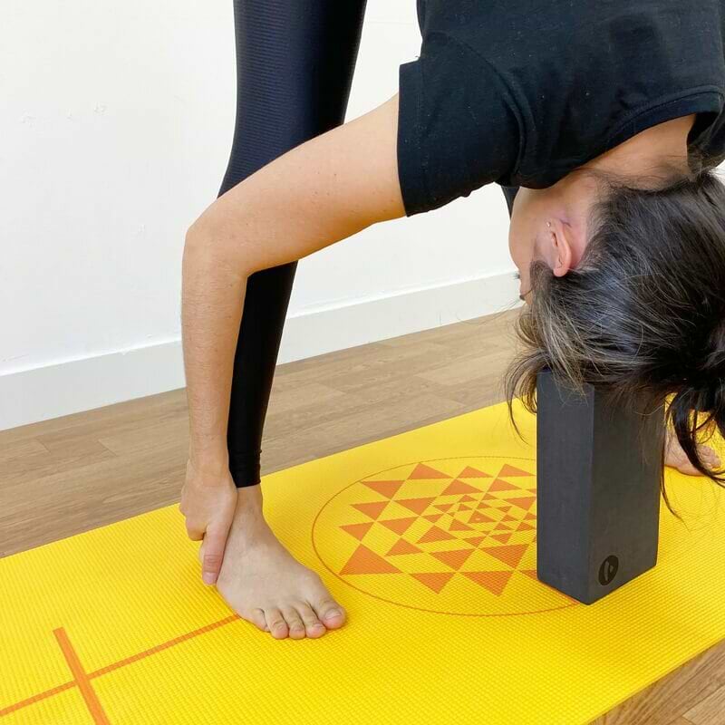 bloco-yoga-yogateria-8