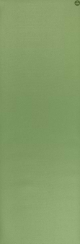 Verde Alecrim