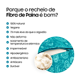 yogateria-rondo-maharaja-petroleo_05