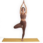 asana-amarelo-yogateria-02