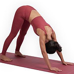 asana-bordo-yogateria-03