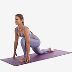 tapete-asana-ameixa-yogateria-02