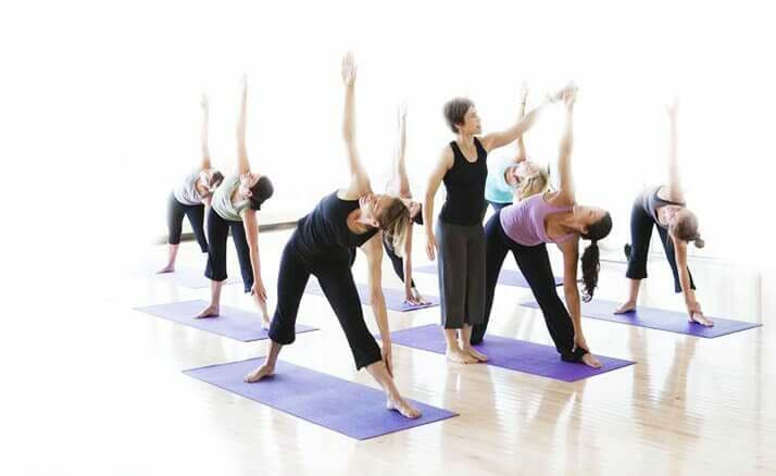 Yogateria.com.br 50