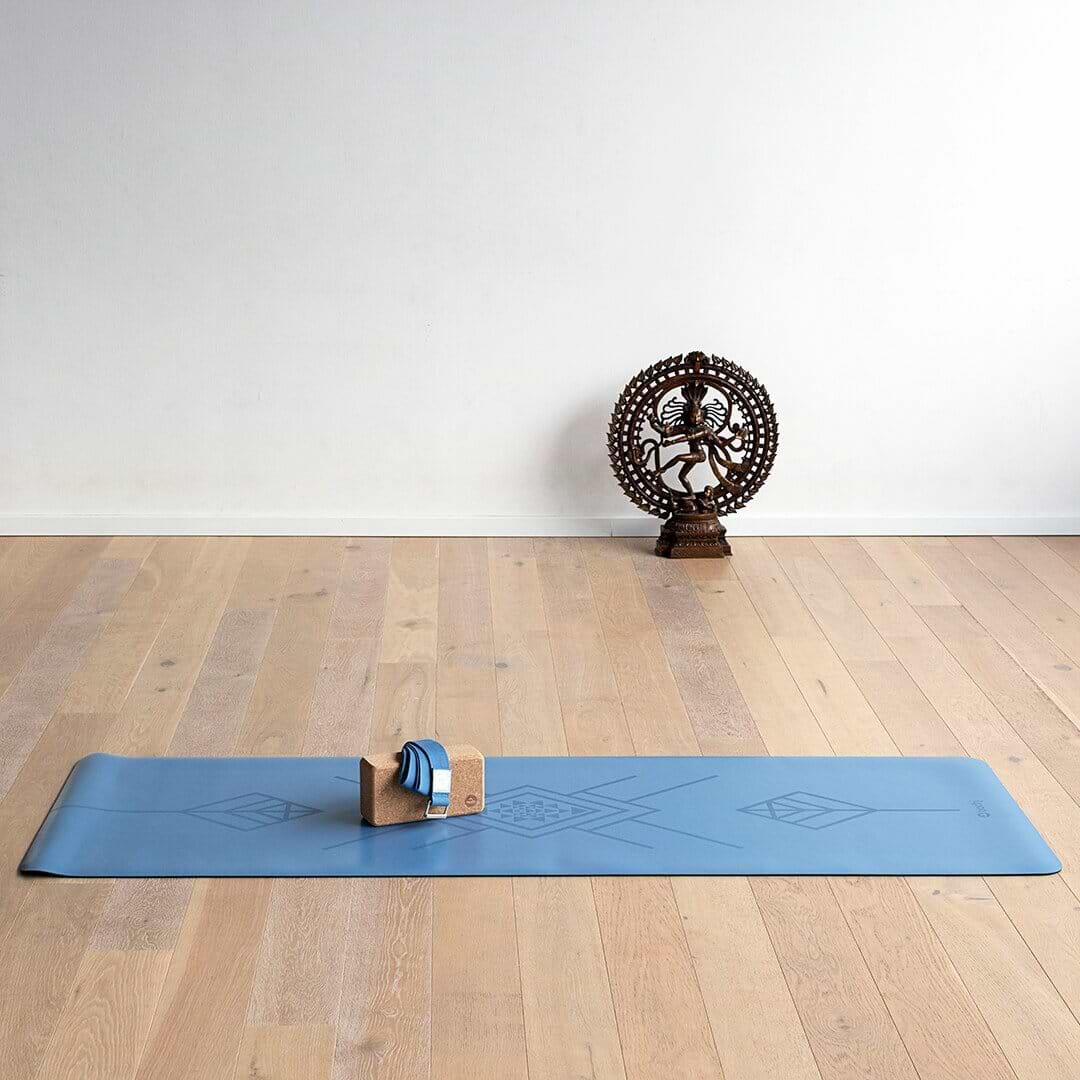phoenix-azul-yogateria-bloco-cortica