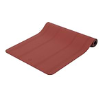 Phoenix-sol-yogateria4