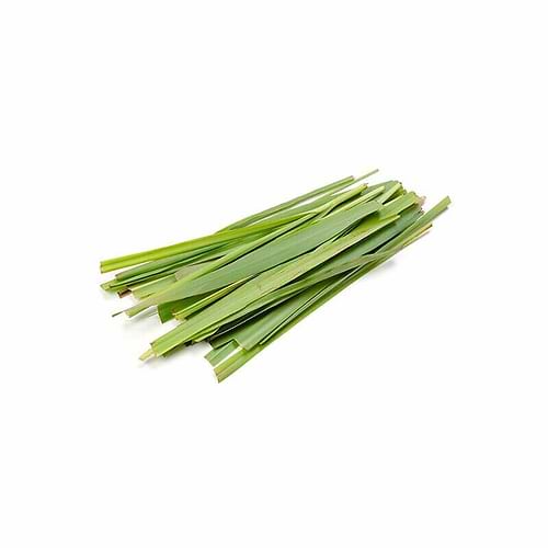 citronella-yogateria citronella-yogateria