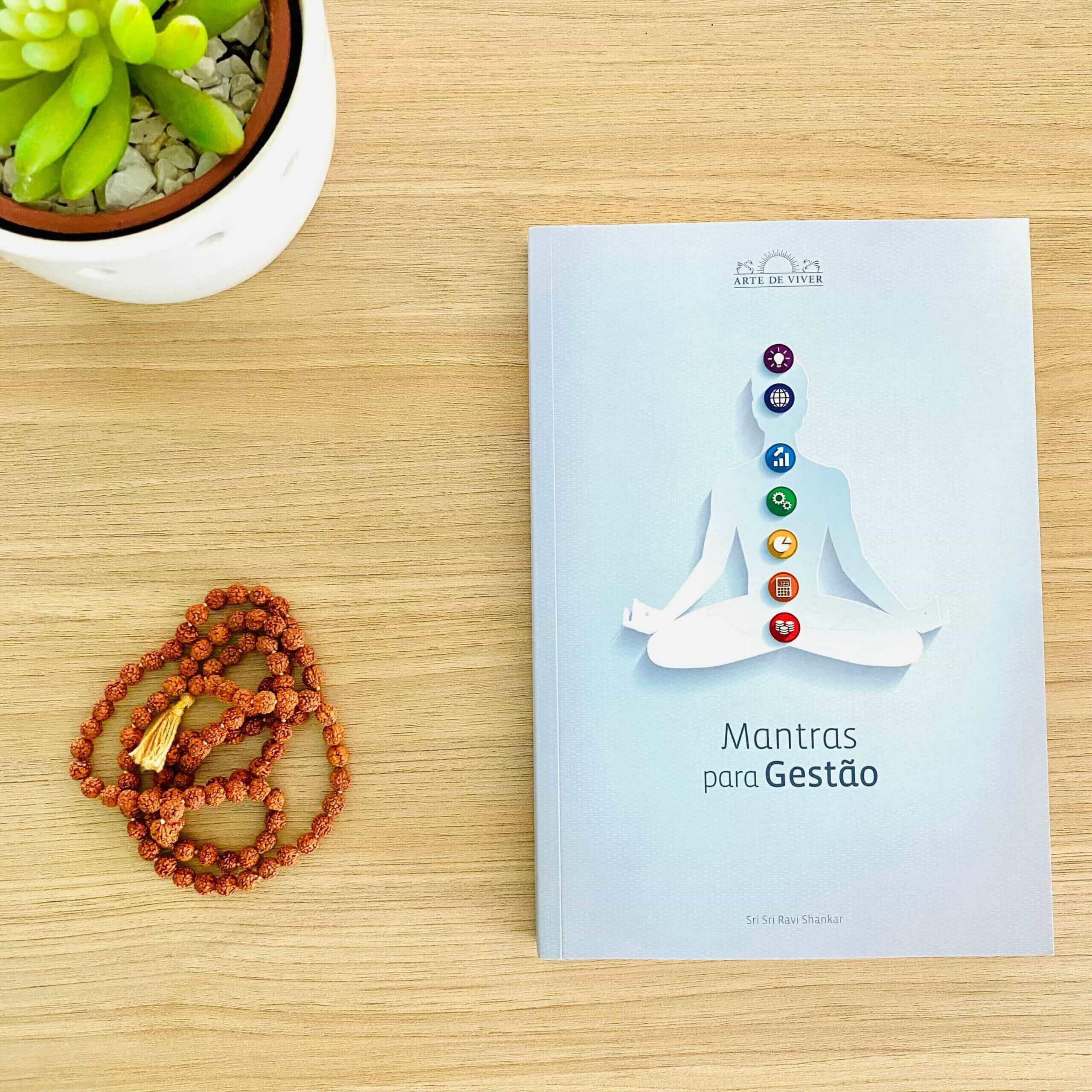 Livro - Mantras para Gestão 11