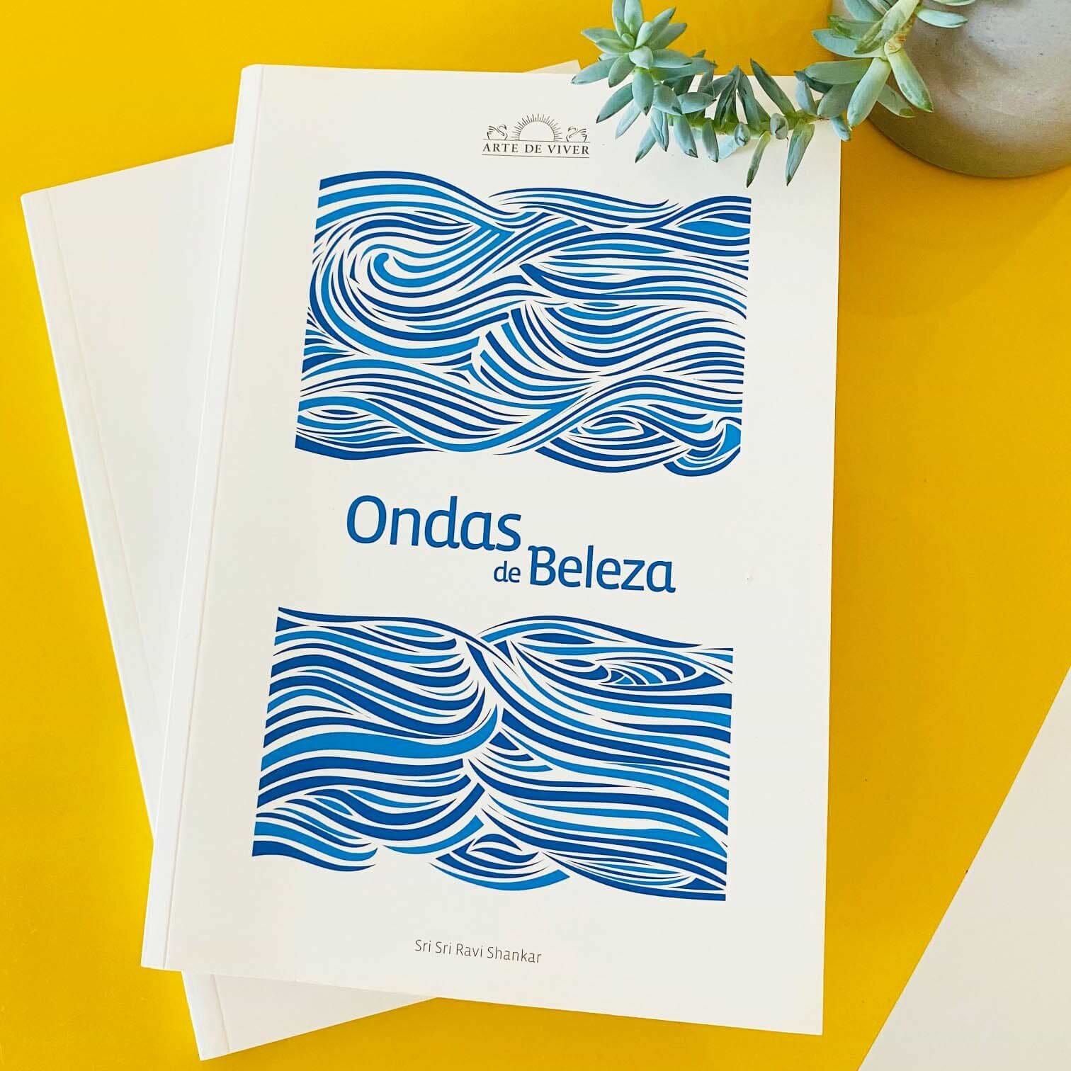 Livro - As coisas que você só vê quando desacelera 17