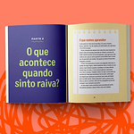 Livro - Vamos Lidar com a Raiva