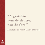 Livro - A Virtude da Raiva