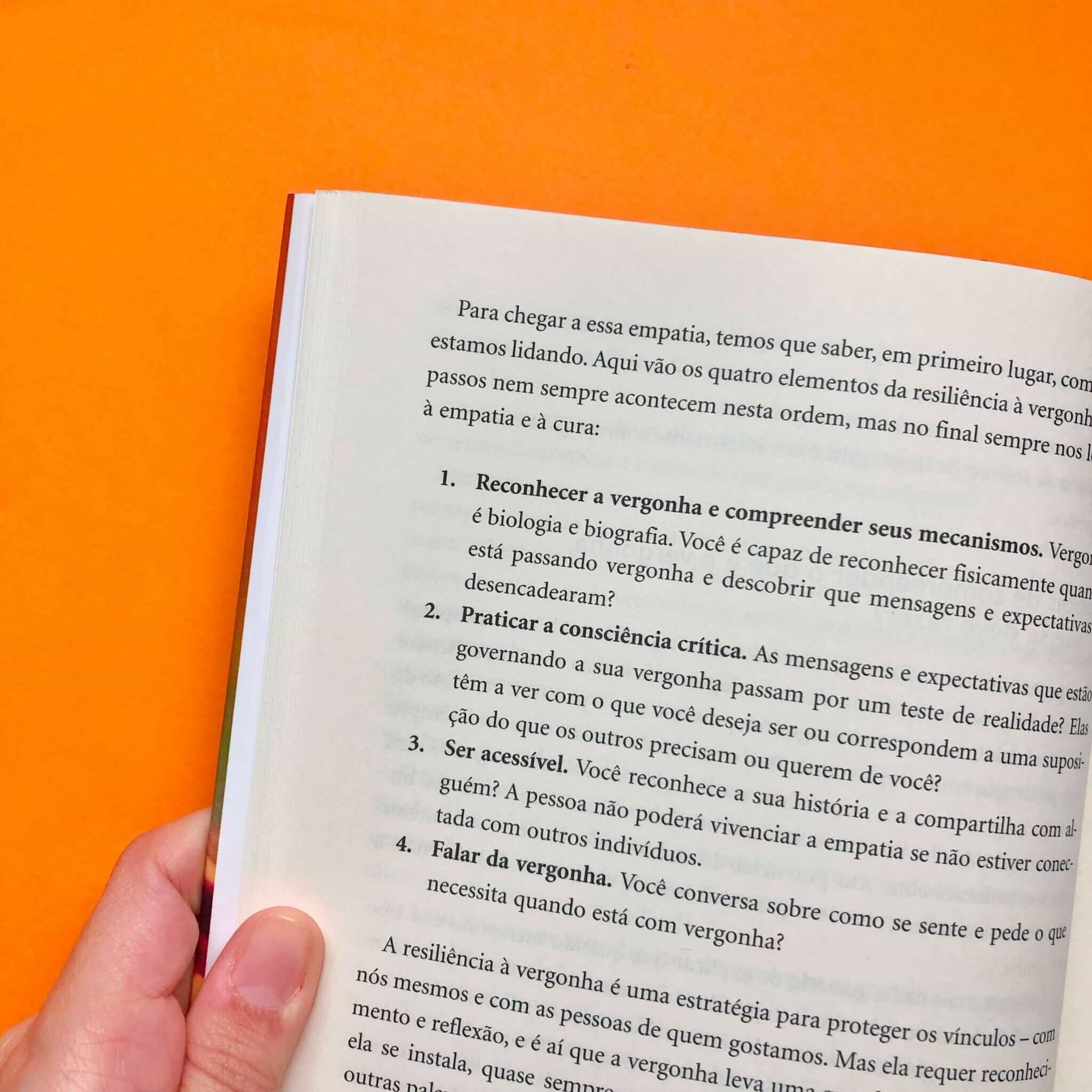 Livro - As coisas que você só vê quando desacelera 11