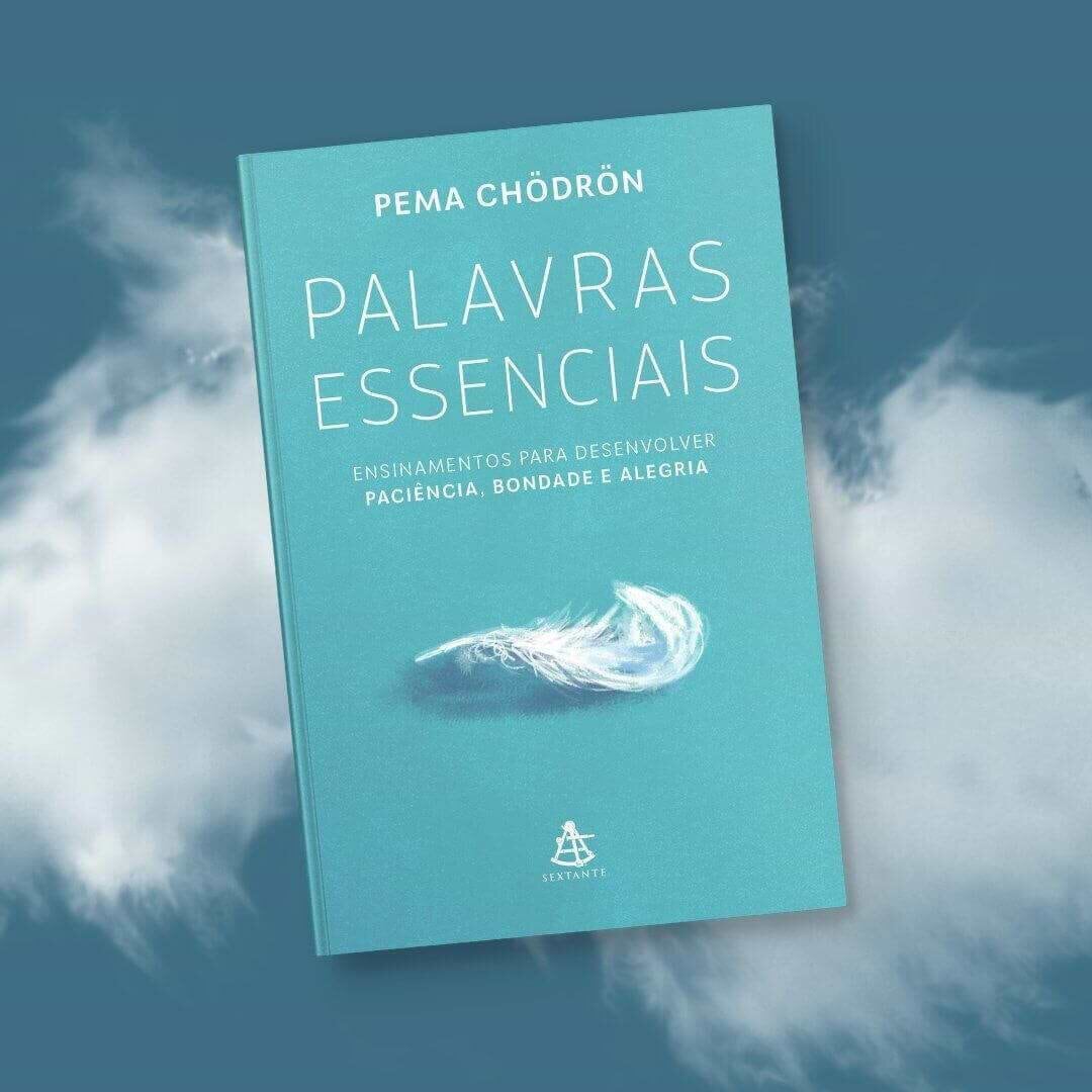 Livro - As coisas que você só vê quando desacelera 19