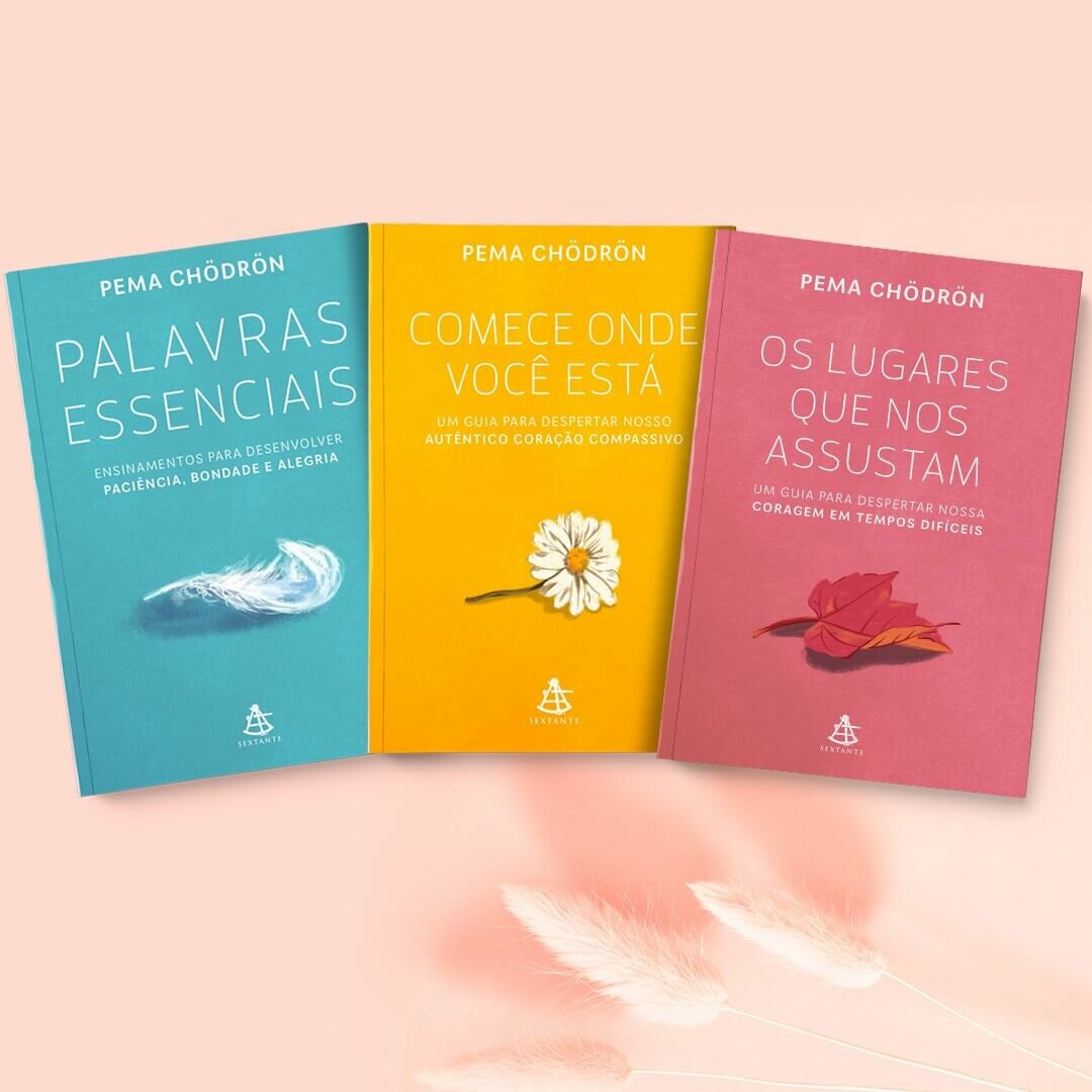 Livro - As coisas que você só vê quando desacelera 14