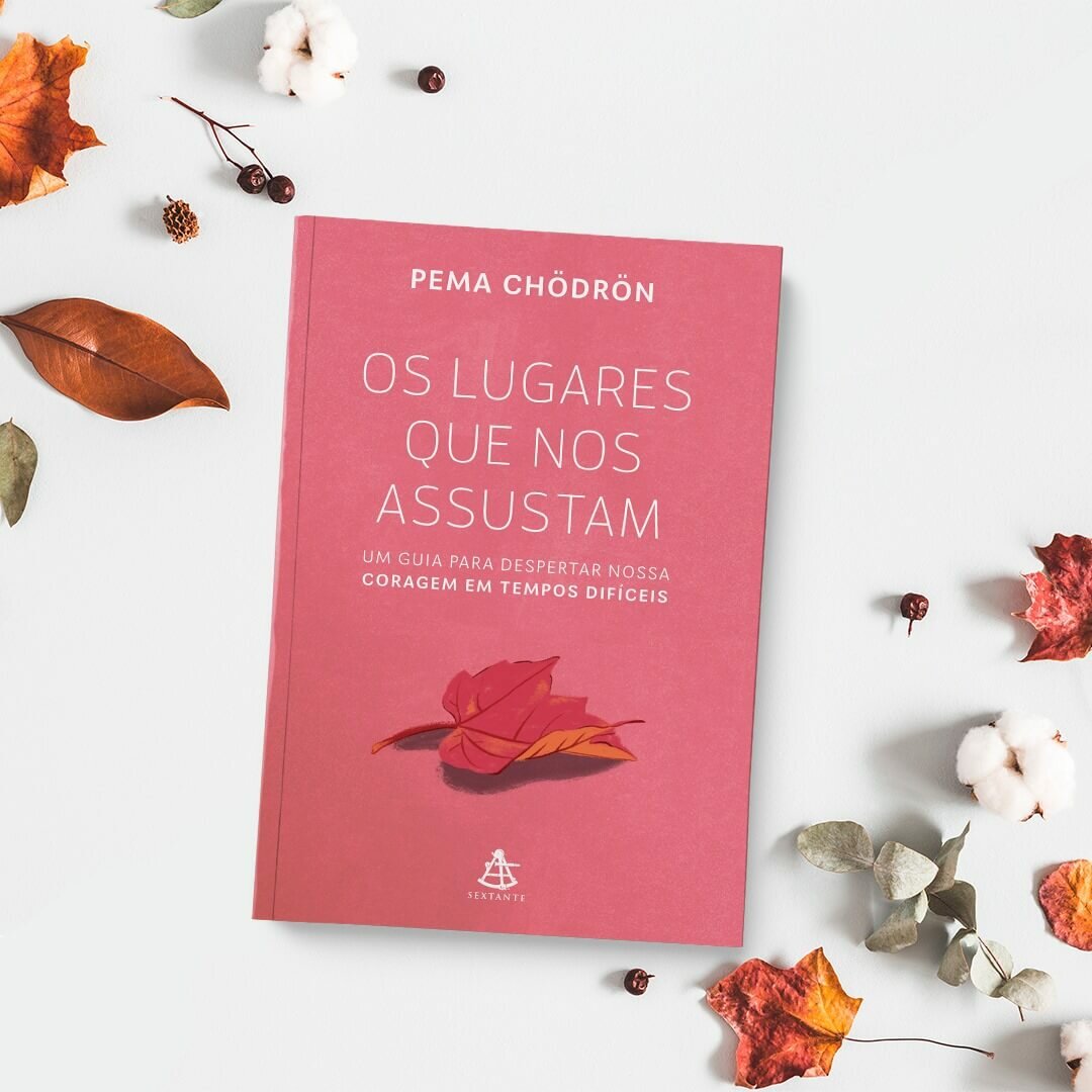 Livro - As coisas que você só vê quando desacelera 18
