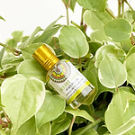 perfume-freshmint-goloka-yogateria-4