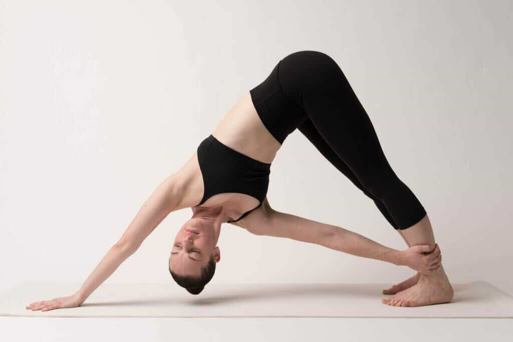 Adho-Mukha-cachorro-olhando-para-baixo-yogateria2