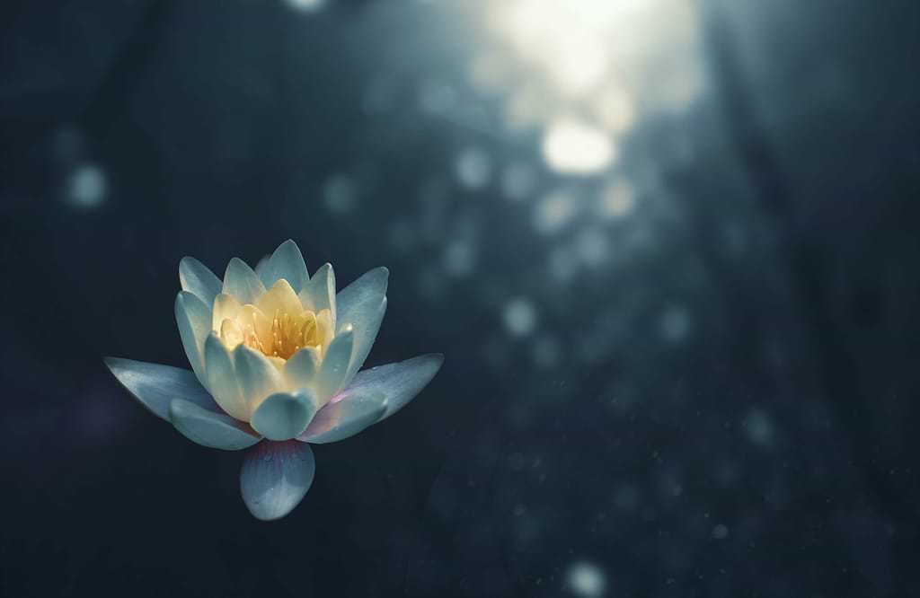 kundalini-yogateria5