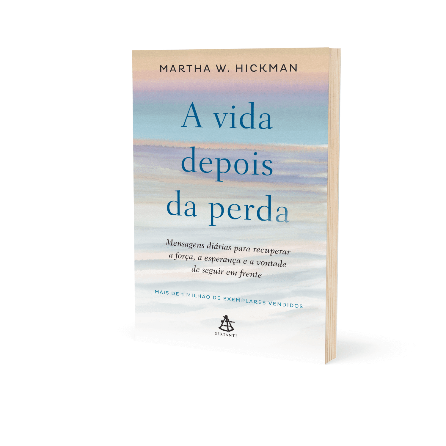 Livro - A vida depois da perda