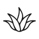 Web 1920 – 55