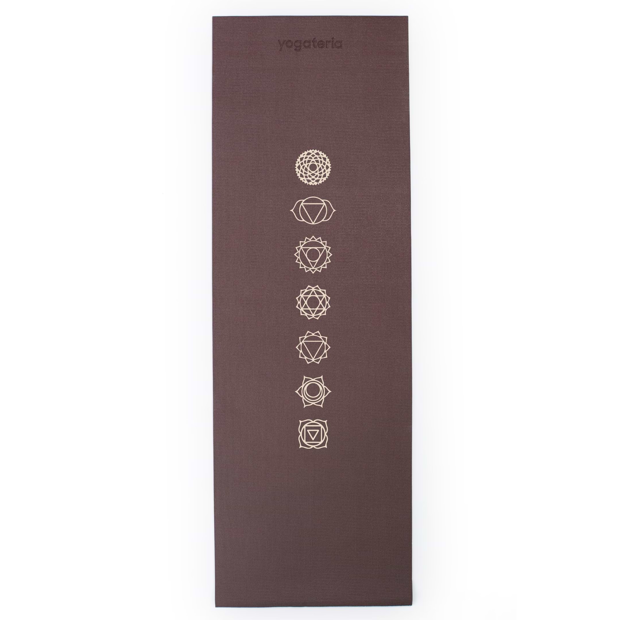 Leela Chakras Yogateria Cacau 01