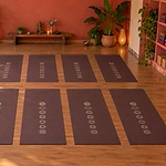 Leela Chakras Yogateria Cacau 03
